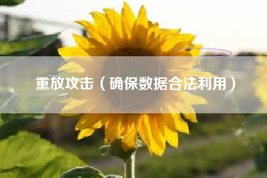 重放攻击（确保数据合法利用）