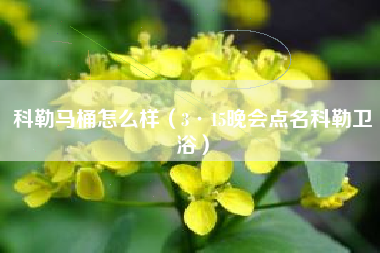 科勒马桶怎么样（3·15晚会点名科勒卫浴）