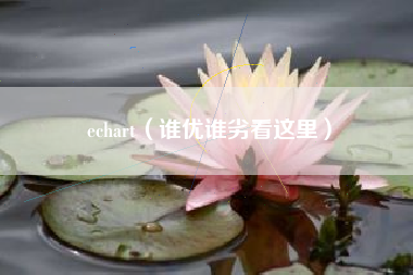 echart（谁优谁劣看这里）