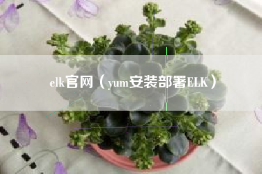 elk官网（yum安装部署ELK）
