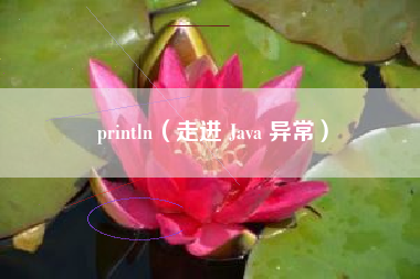 println（走进 Java 异常）