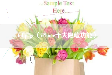 fullpage（iPhone十大隐藏功能）