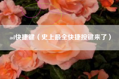 ad快捷键（史上最全快捷按键来了）