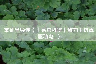 本征半导体（「易来科得」致力于仿真驱动电...）