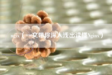 ngix（一文带你深入浅出读懂Nginx）