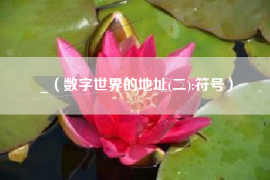 _（数字世界的地址(二):符号）