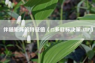 伴随矩阵的特征值(23多目标决策:AHP)