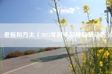 老板和方太(2021年厨电品牌最新动态)