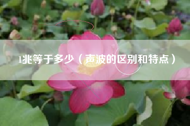 1兆等于多少（声波的区别和特点）