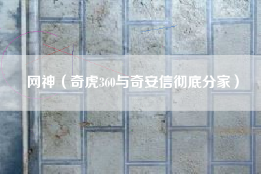 网神（奇虎360与奇安信彻底分家）