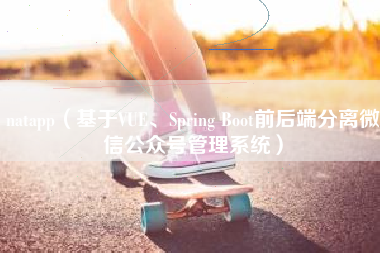 natapp（基于VUE、Spring Boot前后端分离微信公众号管理系统）