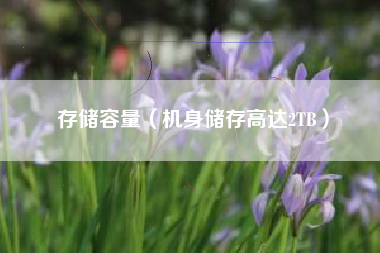存储容量（机身储存高达2TB）