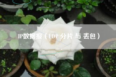 IP数据报（UDP 分片 与 丢包）