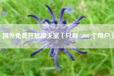 国外免费开放聊天室（只有 5000 个用户）