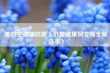 美的空调遥控器（节能健康风变频全能选手）