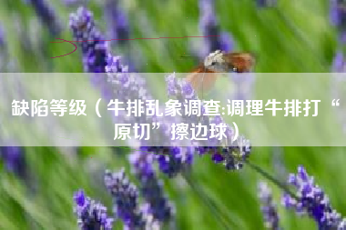 缺陷等级（牛排乱象调查:调理牛排打“原切”擦边球）