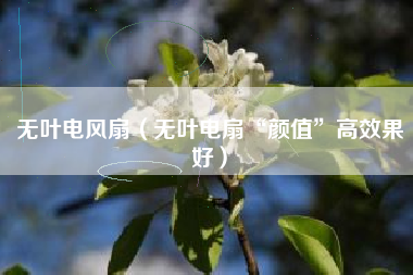 无叶电风扇（无叶电扇“颜值”高效果好）