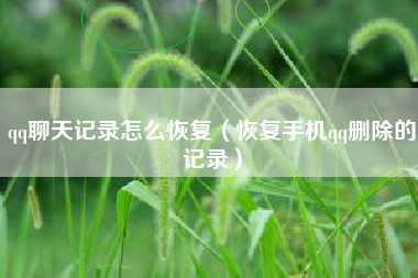 qq聊天记录怎么恢复（恢复手机qq删除的记录）
