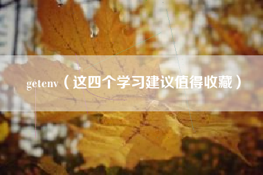 getenv(这四个学习建议值得收藏)