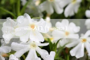 unity入门（Unity2020）