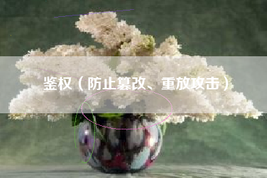 鉴权（防止篡改、重放攻击）