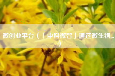 微创业平台（「中科微智」通过微生物...）