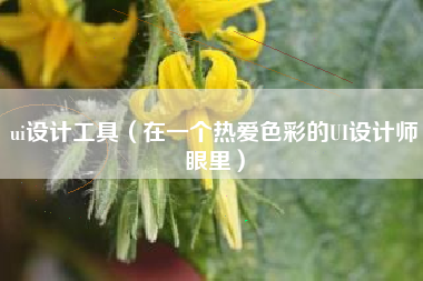 ui设计工具（在一个热爱色彩的UI设计师眼里）