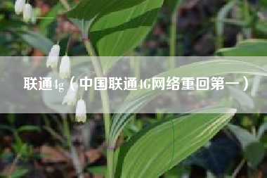 联通4g（中国联通4G网络重回第一）