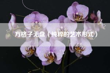 方格子无盘（纯粹的艺术形式）