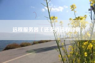 远程服务器（还支持远程控制）