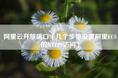 阿里云开放端口（几个步骤设置阿里ECS的HTTPS访问）