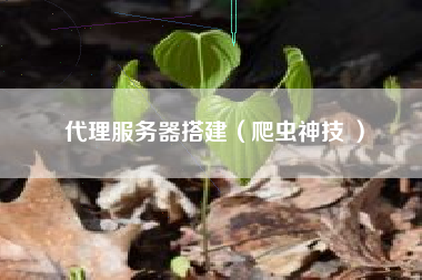 代理服务器搭建（爬虫神技 ）
