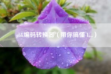 gbk编码转换器（带你搞懂 L...）