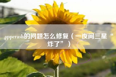 appcrash的问题怎么修复（一夜间三星“炸了”）