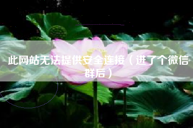 此网站无法提供安全连接（进了个微信群后）