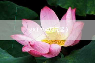 p10（21.68万元起）