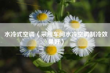 水冷式空调（采用车间水冷空调制冷效果好）