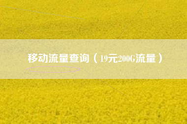 移动流量查询（19元200G流量）