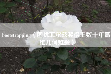bootstrapping（困扰菲尔兹奖得主数十年高维几何难题）