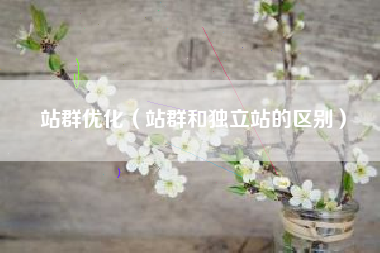 站群优化（站群和独立站的区别）