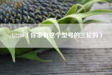 lj2200（你家有这个型号的三轮吗）