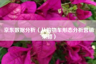 京东数据分析（从购物车形态分析营销策略）