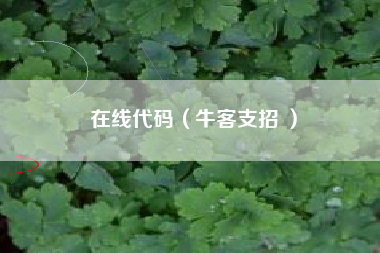 在线代码（牛客支招 ）