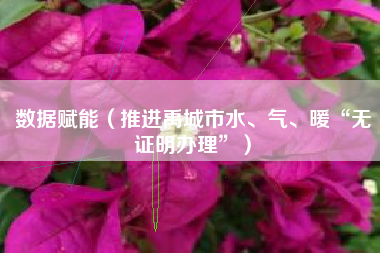 数据赋能（推进禹城市水、气、暖“无证明办理”）