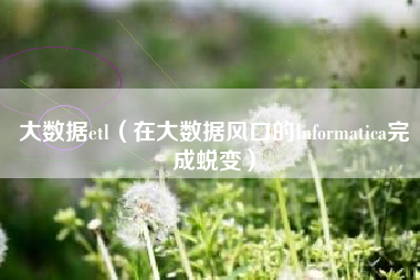 大数据etl（在大数据风口的Informatica完成蜕变）