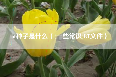 bt种子是什么（(一些常识)BT文件）