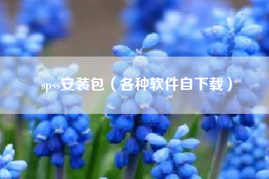 spss安装包（各种软件自下载）