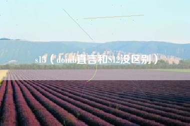 s13（doinb直言和S12没区别）