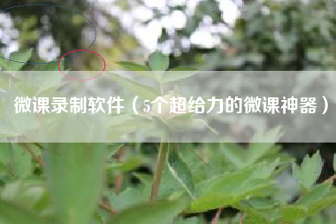微课录制软件（5个超给力的微课神器）