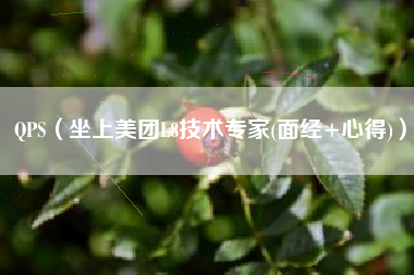 QPS（坐上美团L8技术专家(面经+心得)）